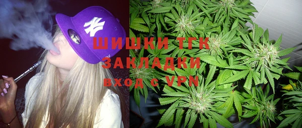 сатива Балахна