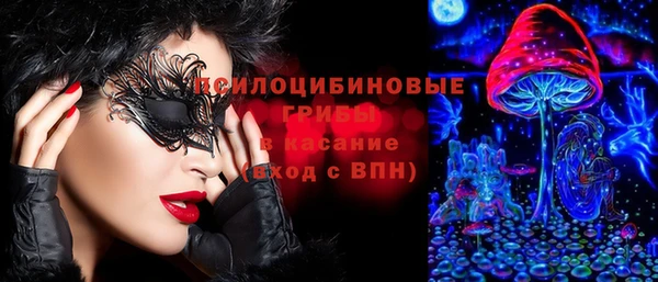 сатива Балахна