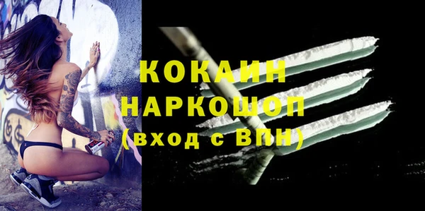 сатива Балахна